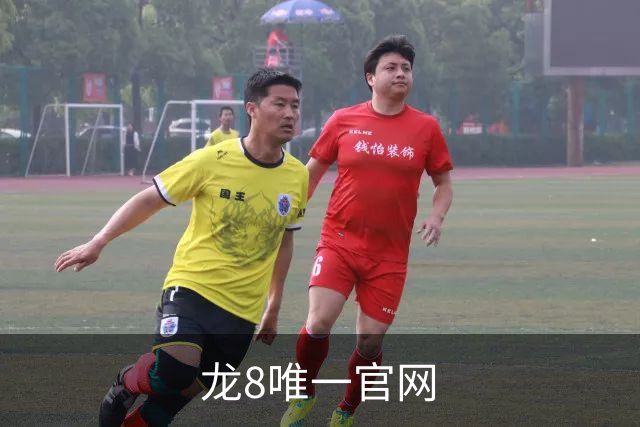 龙8唯一官网 公司简介